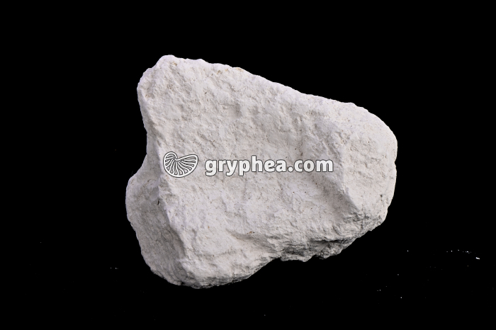 Craie - échantillon - gryphea.org